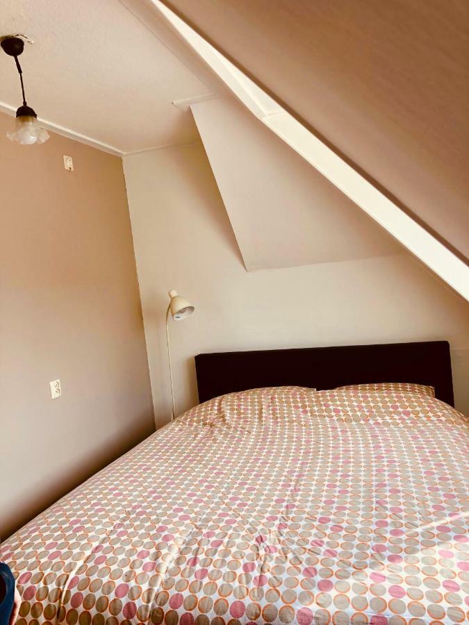 Paesens Frysk Hus 빌라 외부 사진